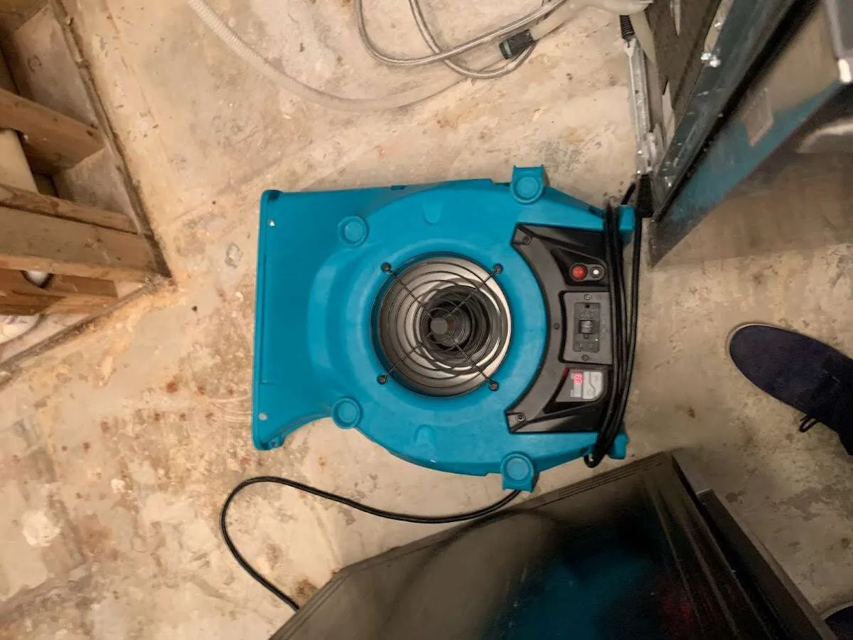 Air mover drying equipment for Mold Remediation & Removal in Woodfin